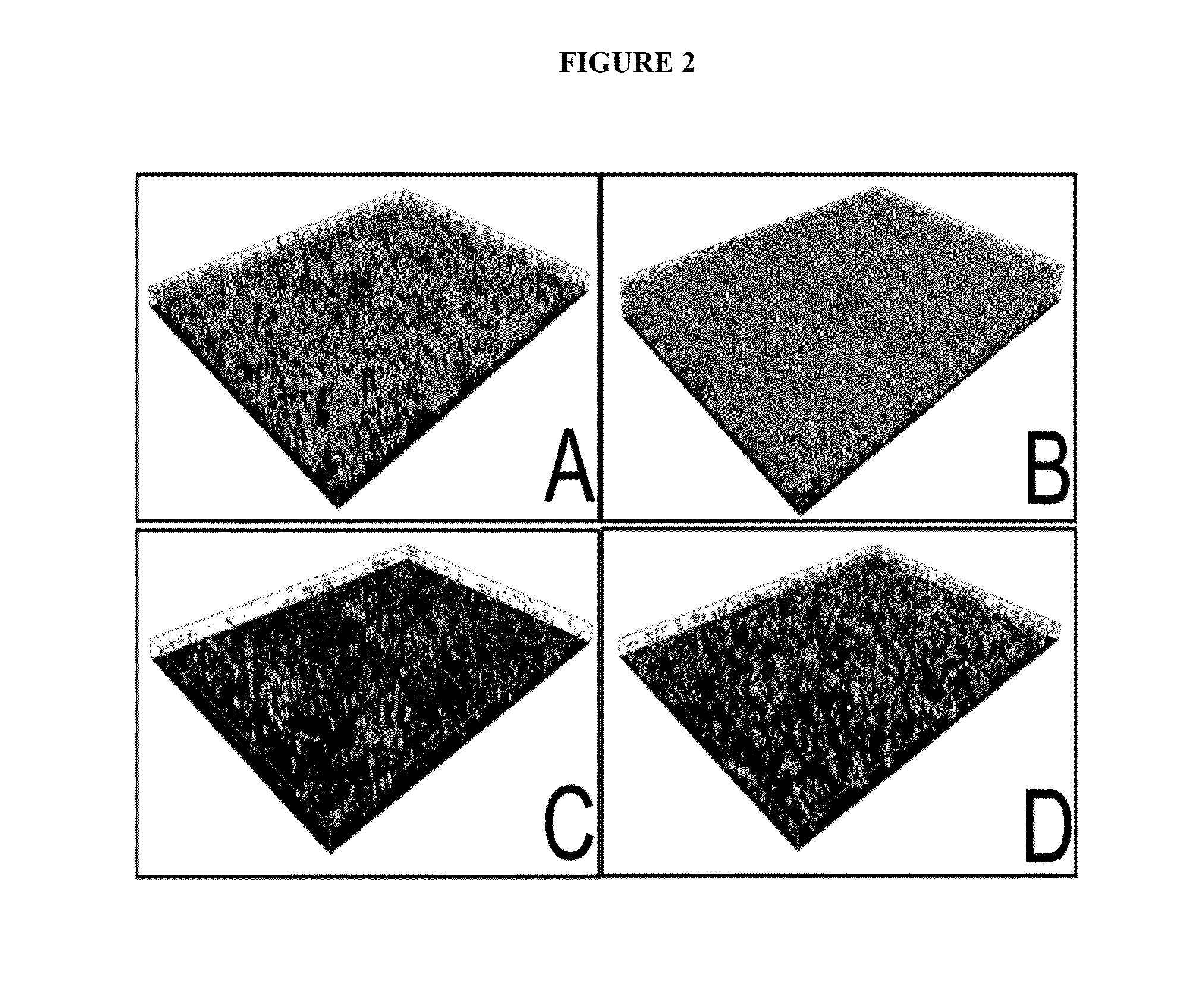 Control of biofilm formation