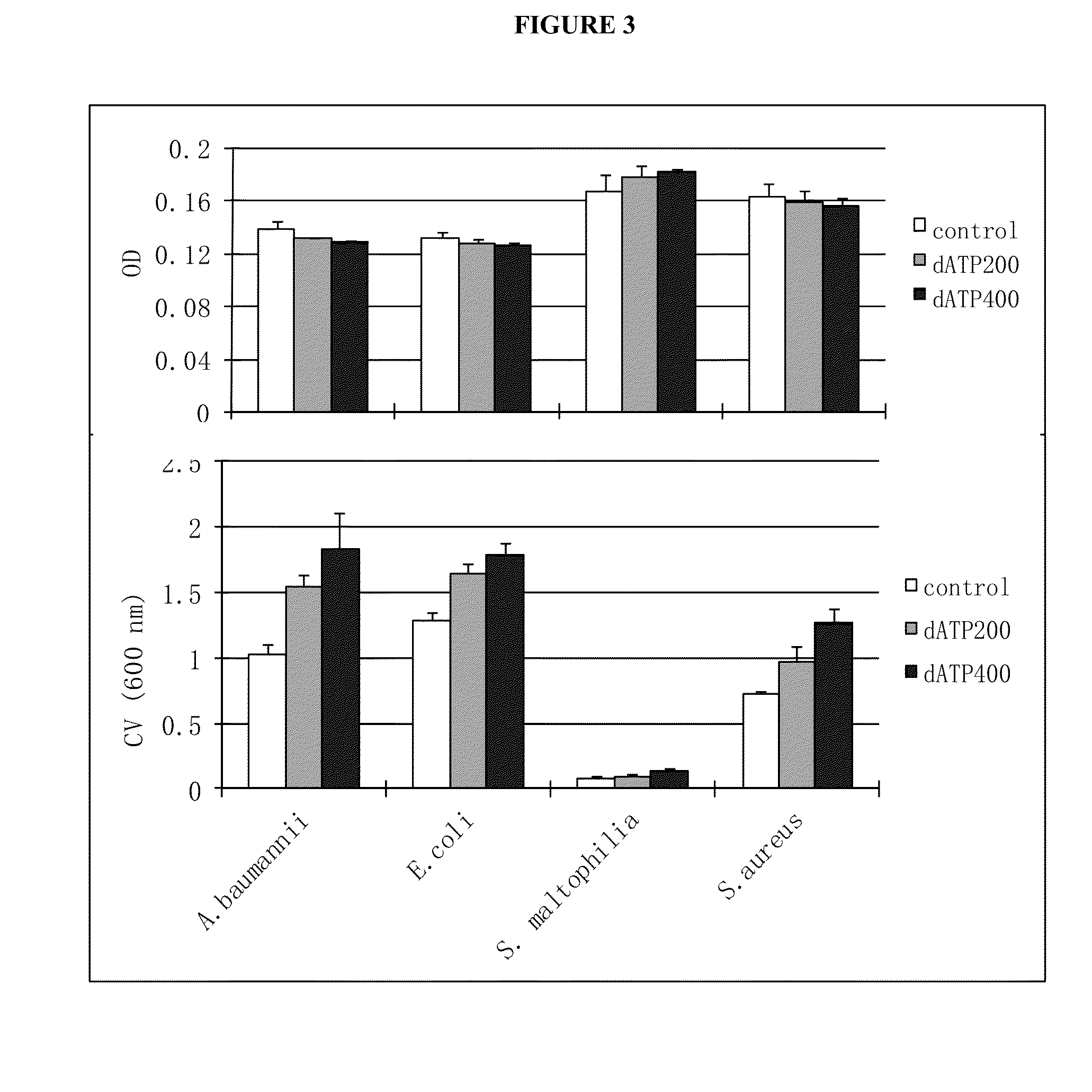 Control of biofilm formation