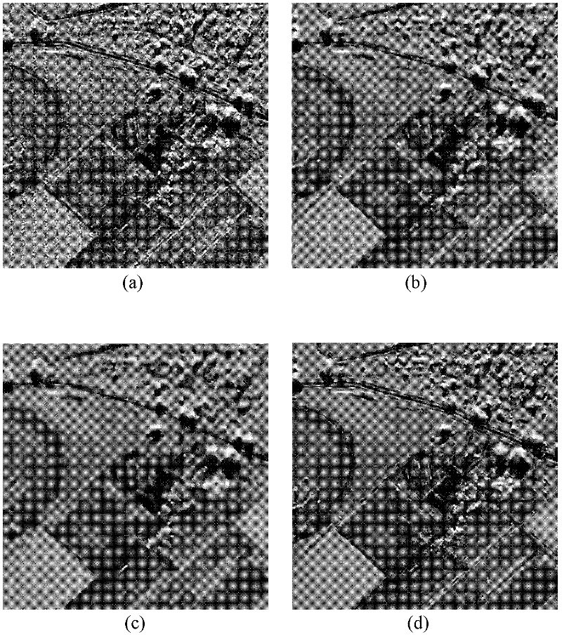 SAR (Synthetic Aperture Radar) image speckle reduction method based on sparse representation