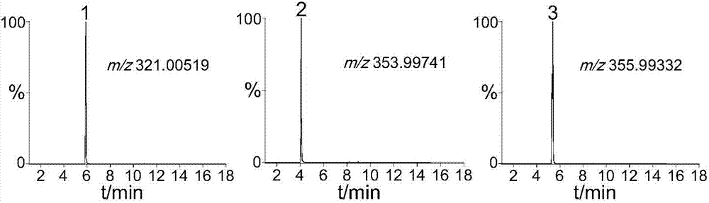 Method for screening chemical risk substances such as chloramphenicol antibiotics in toiletries