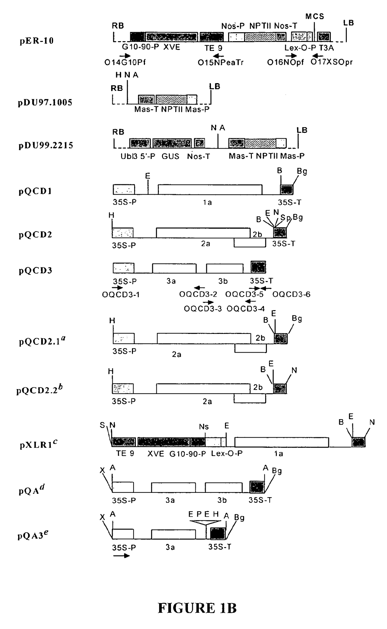 Chemically inducible cucumber mosaic virus protein expression system