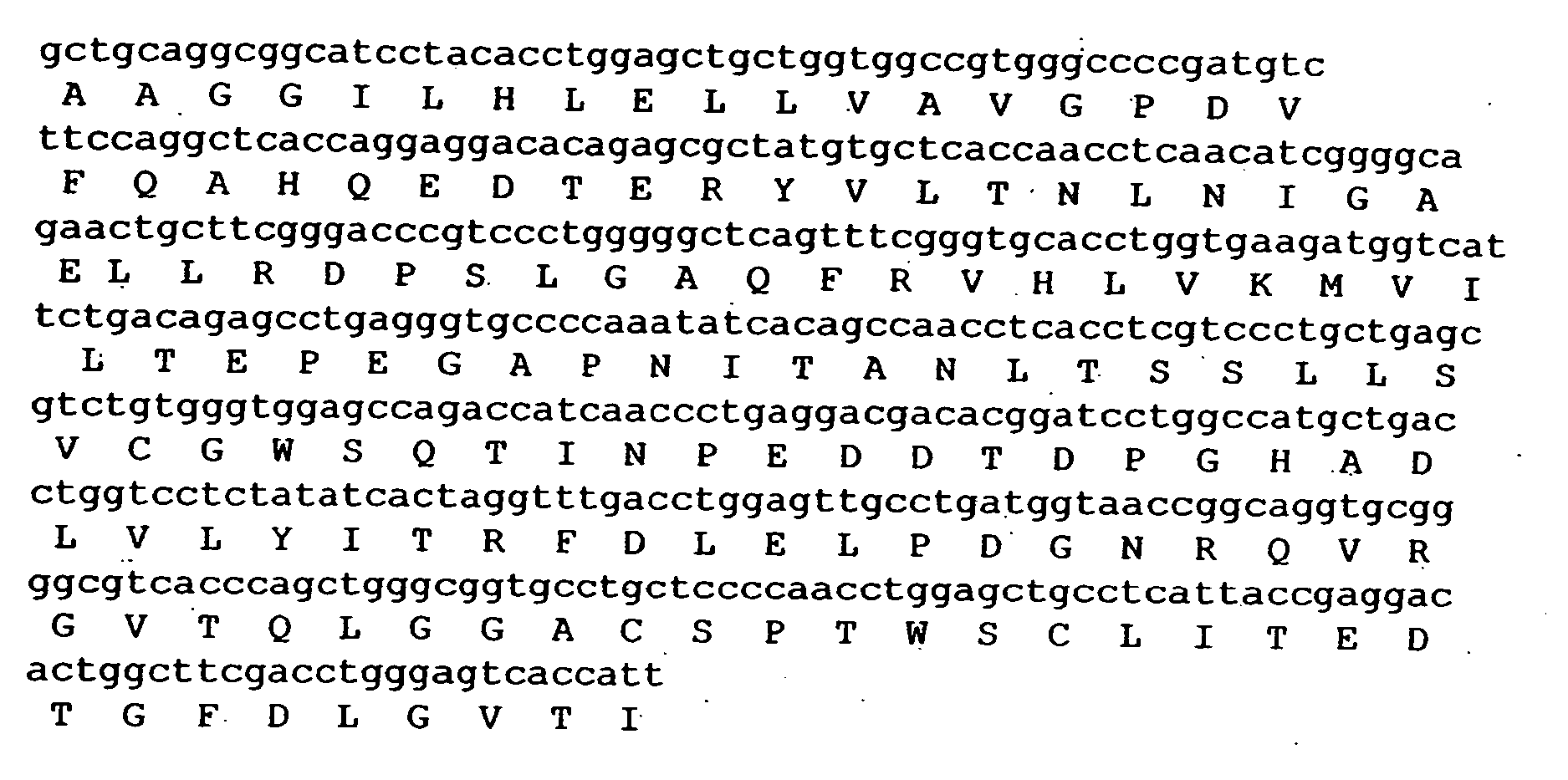 Composition exhibiting a von Willebrand factor (vWF) protease activity comprising a polypeptide chain with the amino acid sequence AAGGILHLELLV