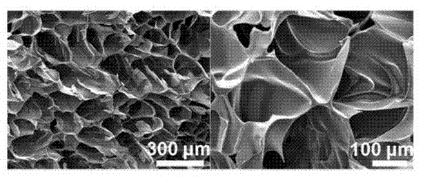 Natural polymer-hydroxyapatite bone tissue engineering scaffold material with secondary three-dimensional network structure and seed-crystal induction preparation method thereof