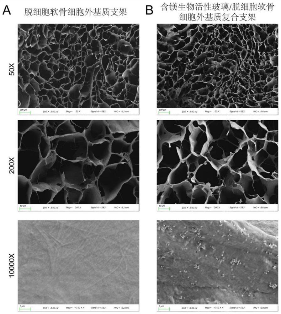 Preparation method and application of tissue engineering biological scaffold