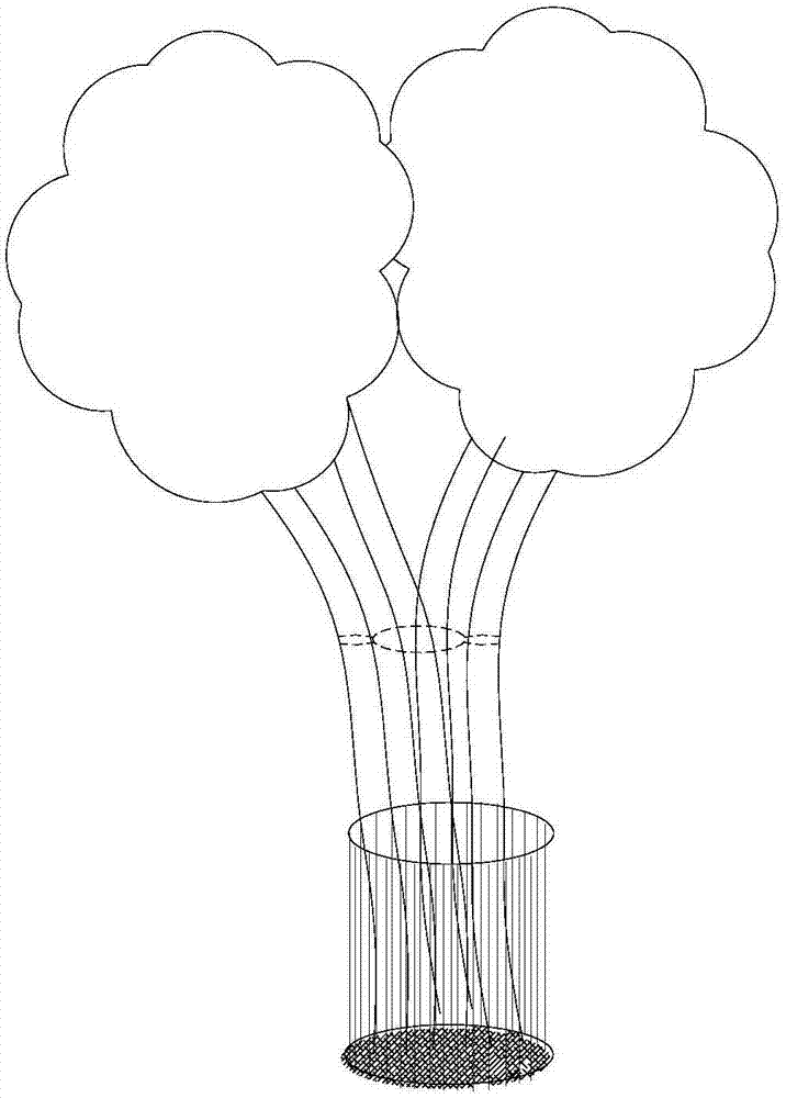 Assembly type manufacturing method for bischofia javanica