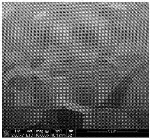 PRECIPITATION HARDENING-TYPE Ag-Pd-Cu-In-B-BASED ALLOY