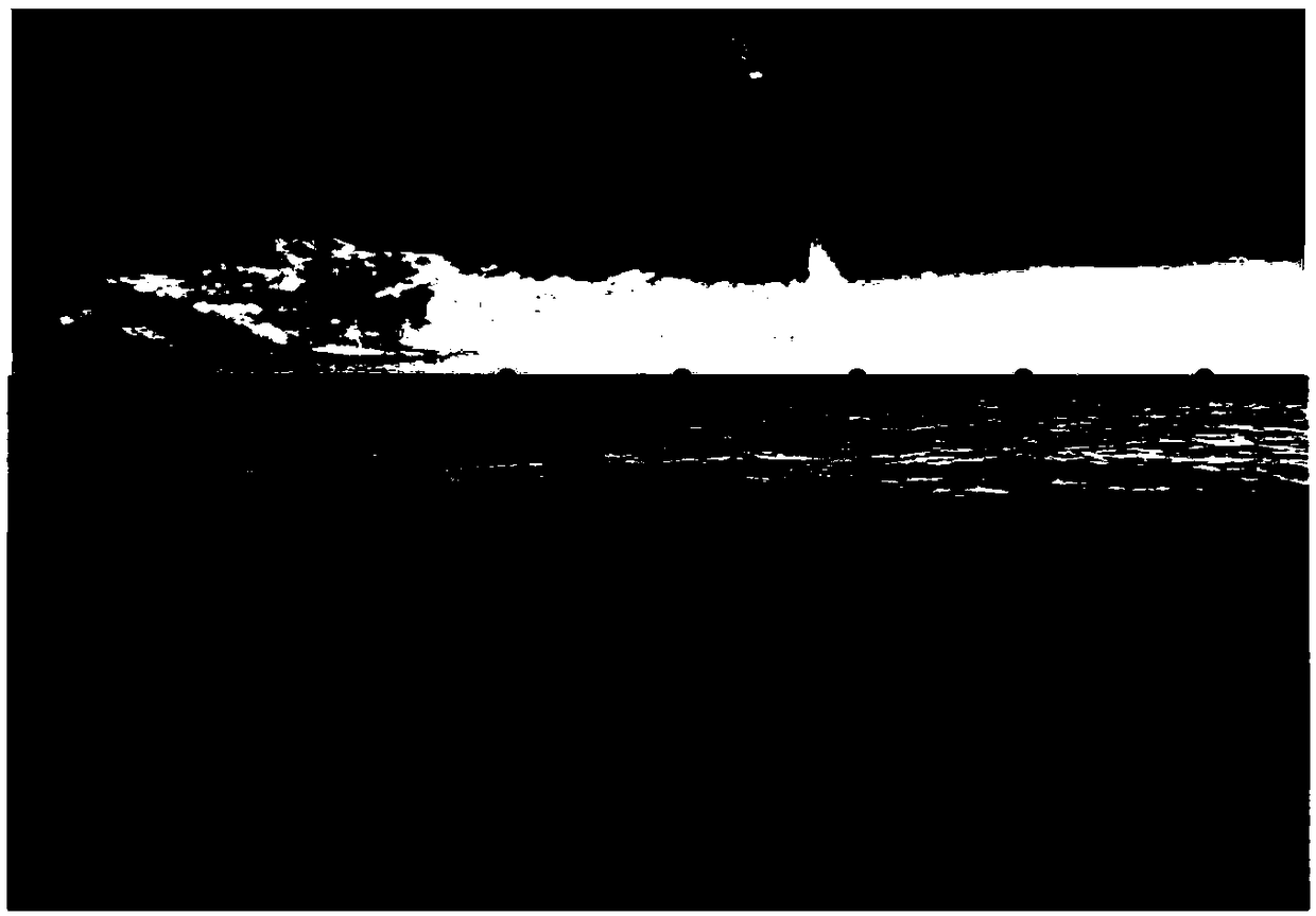 Deep sea underwater target monitoring device and monitoring method