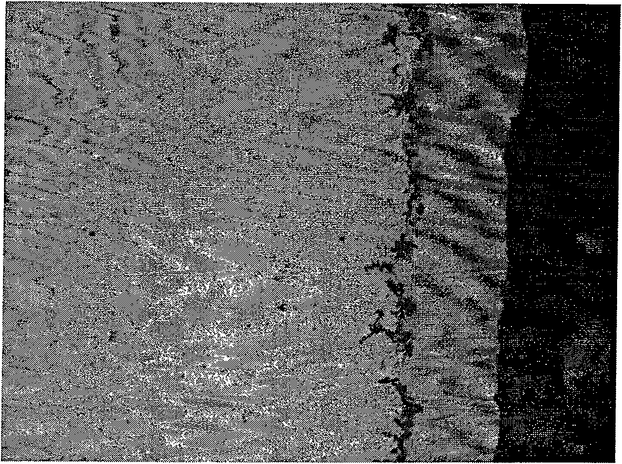 Magnesium alloy electroless plating nickel and free-chromium pre-processing technology and inhibition treatment solution thereof