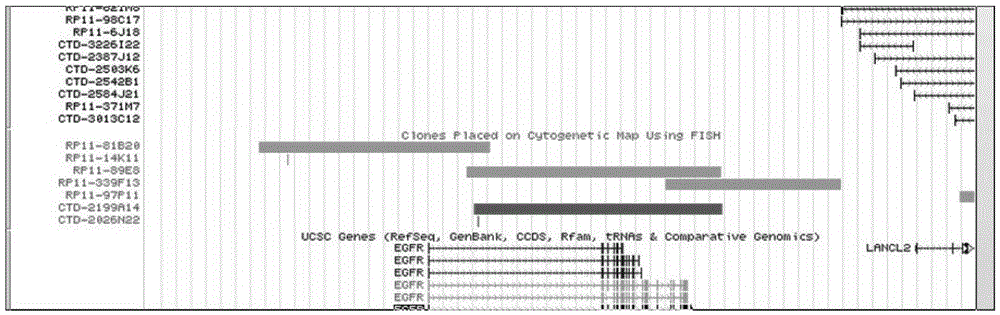 EGFR gene detection probe, preparation method thereof and reagent kit