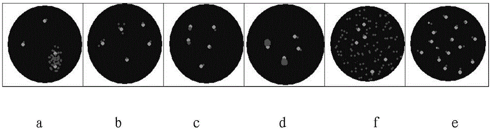 EGFR gene detection probe, preparation method thereof and reagent kit