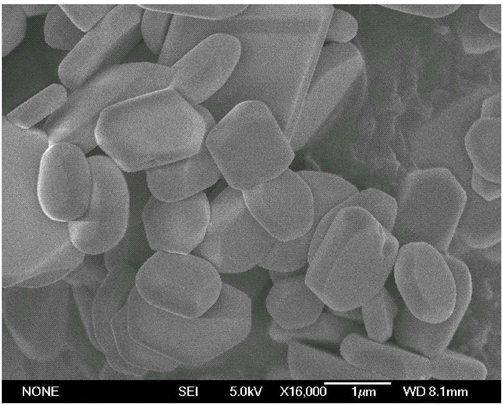 Preparation method of nanometer cadmium oxide with special shape