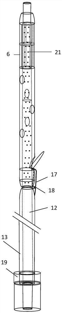 Anti-displacement biliary drainage tube and implantation device