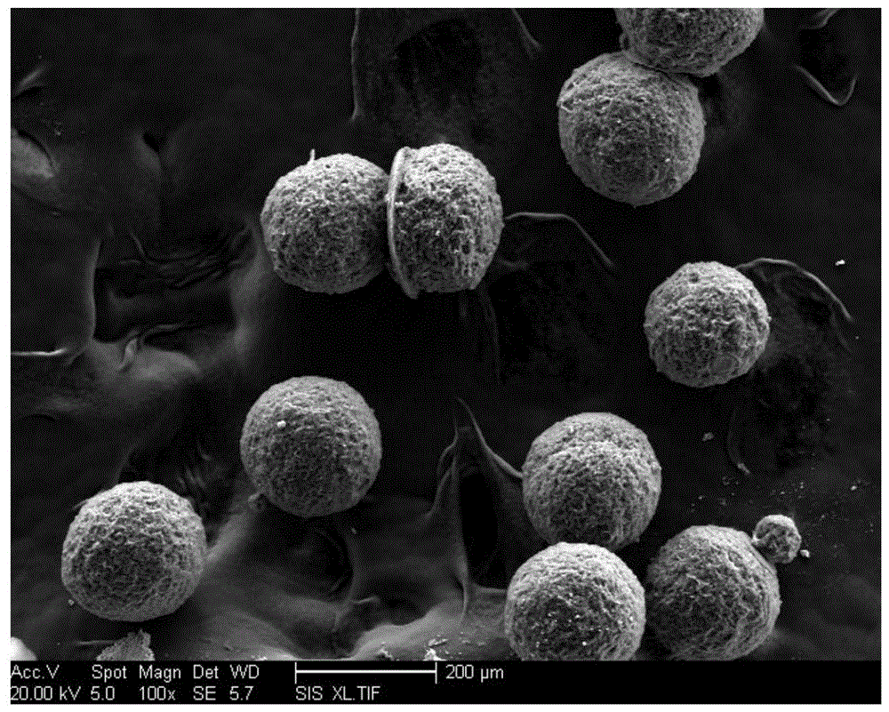 A kind of preparation method of porous graphene microbead