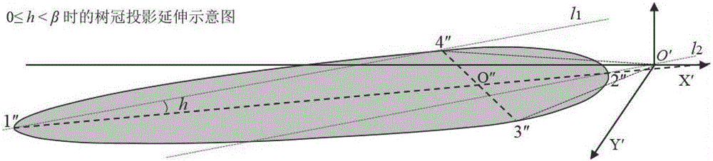 Method to determine projection boundary of the crown of young apple tree