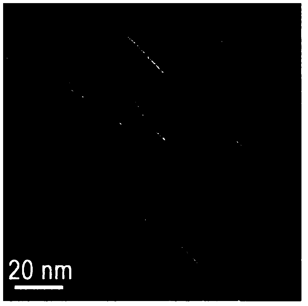 Three-dimensional flower-shaped titanic acid material formed by assembling lamelleted nanosheets and synthesizing method of three-dimensional flower-shaped titanic acid material