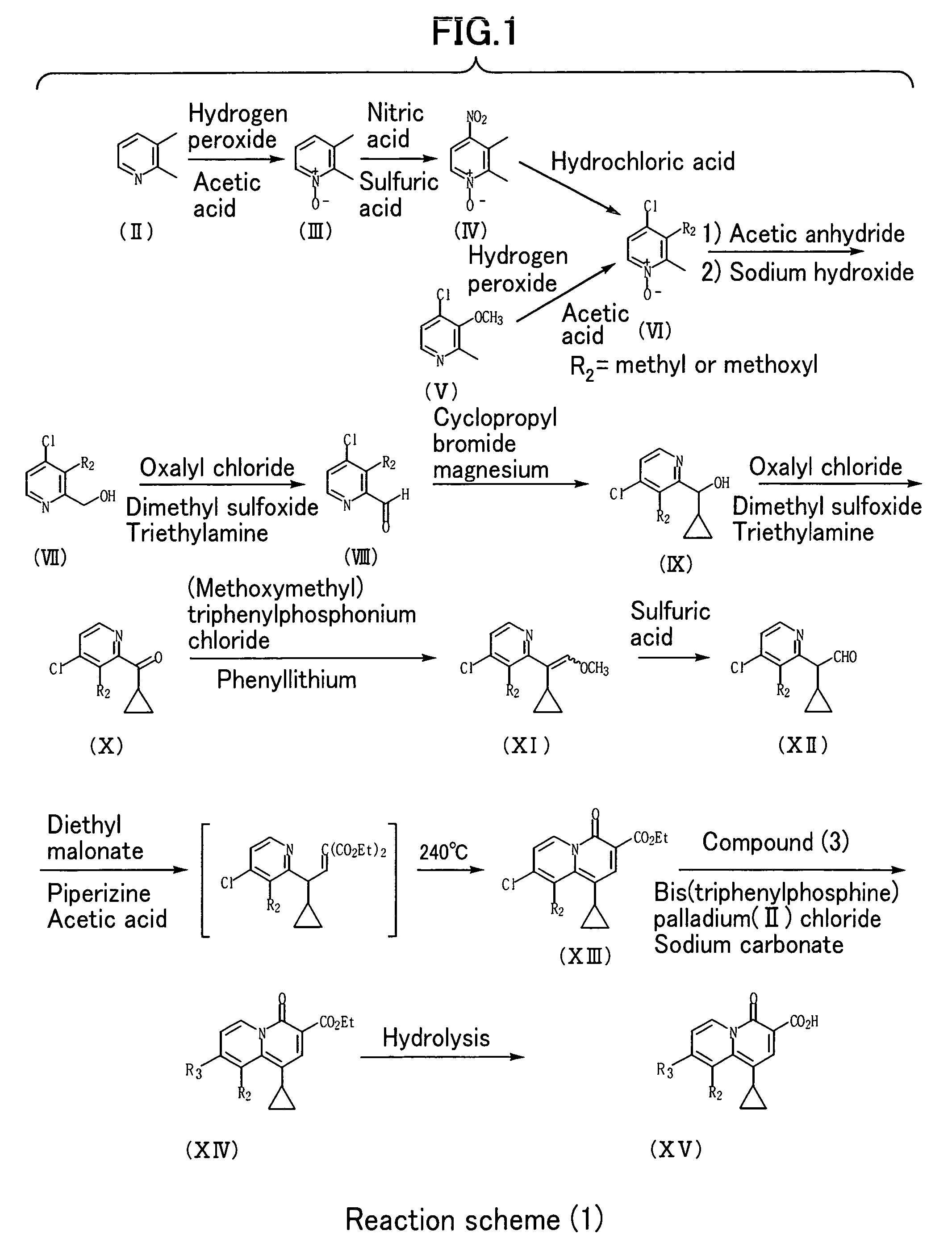 4-oxoquinolizine antibacterial agent having 2-pyridone skeleton as partial structure