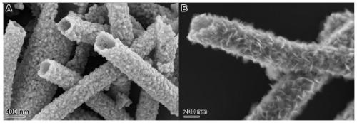 A kind of cobalt nickel oxide/tin dioxide composite nanotube and its preparation method and application