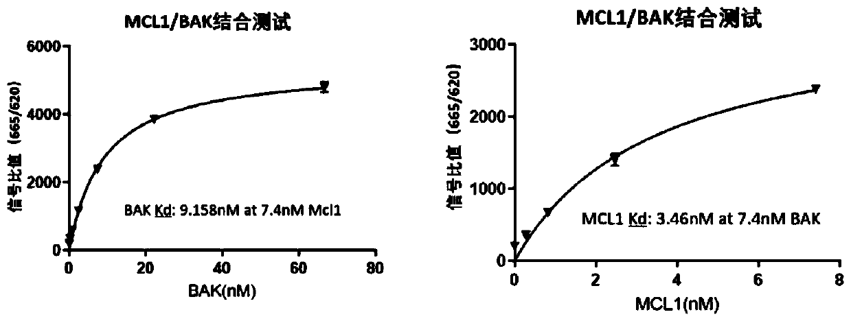 Method for screening combined blocking agent among Bcl-2 family members by utilizing HTRF one-step method
