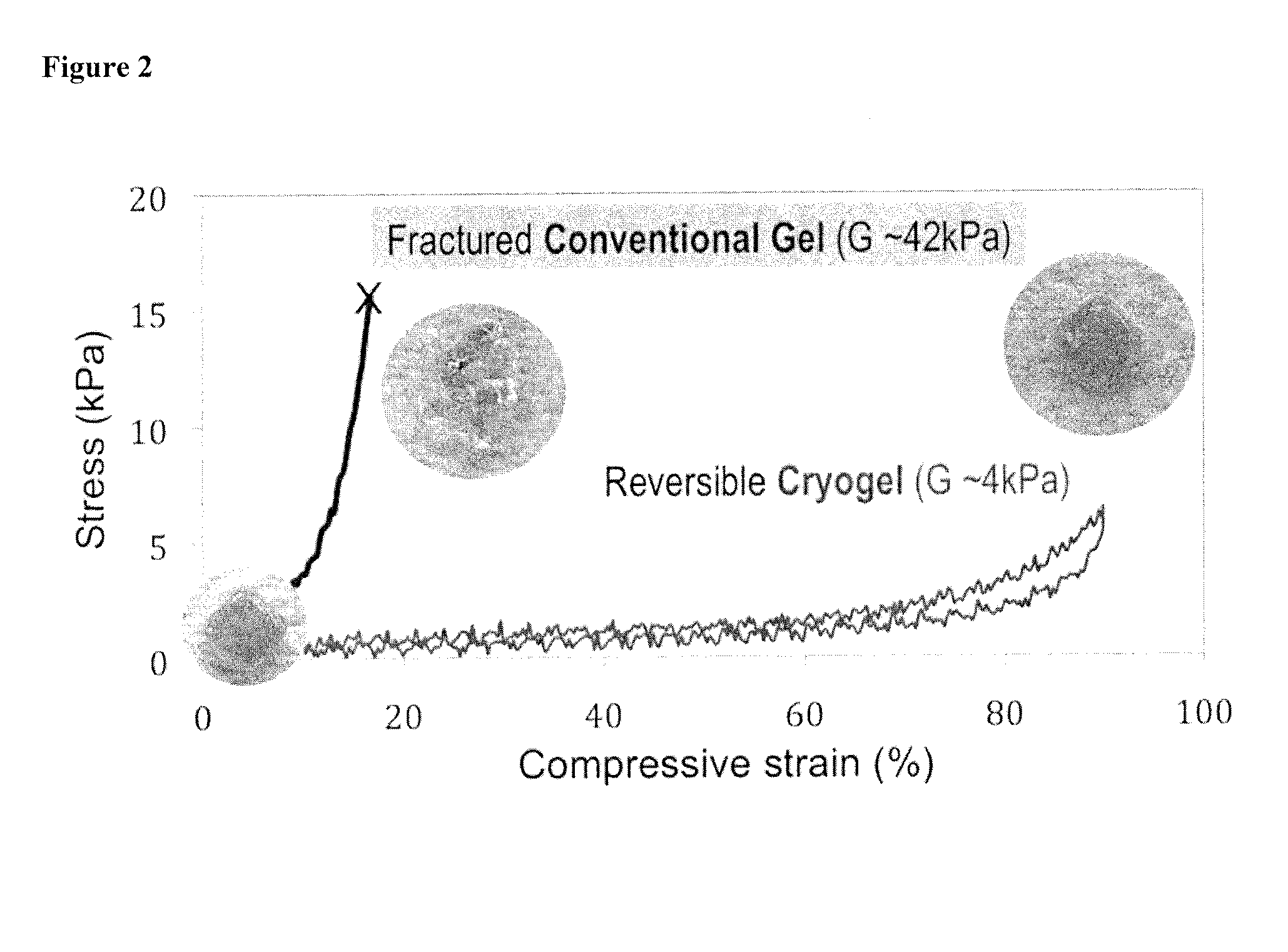 Injectable Cryogel Vaccine Devices and Methods of Use Thereof