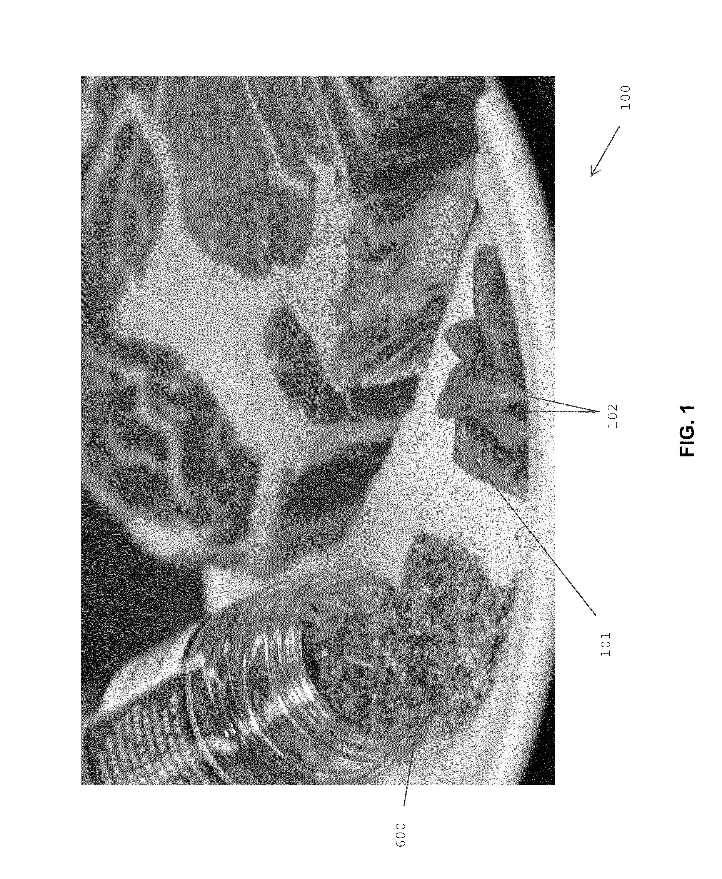 Meat Flavoring Compositions and Methods for Making and Using Them
