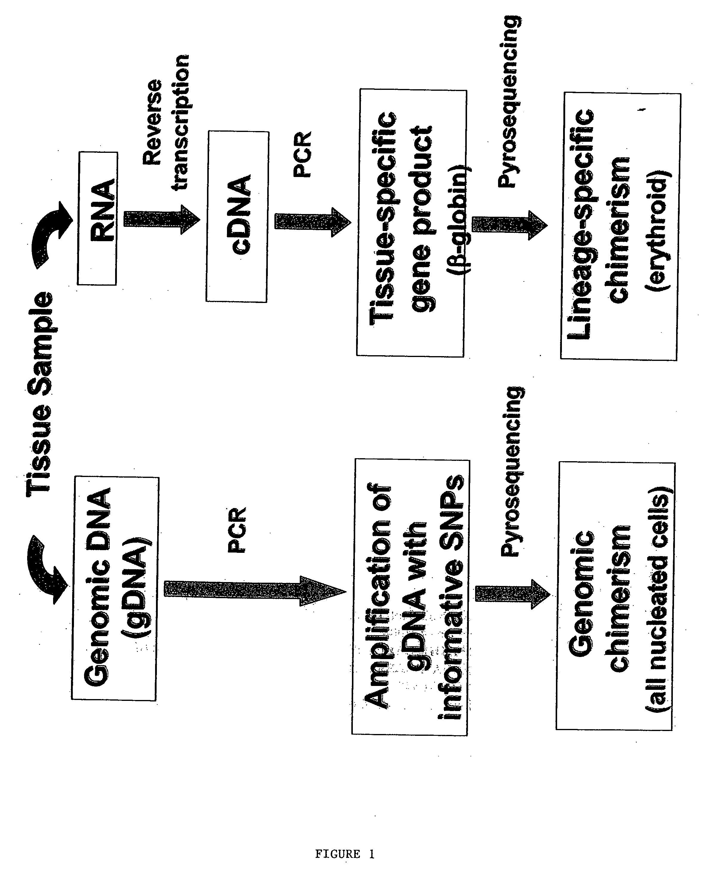 Methods to detect lineage-specific cells