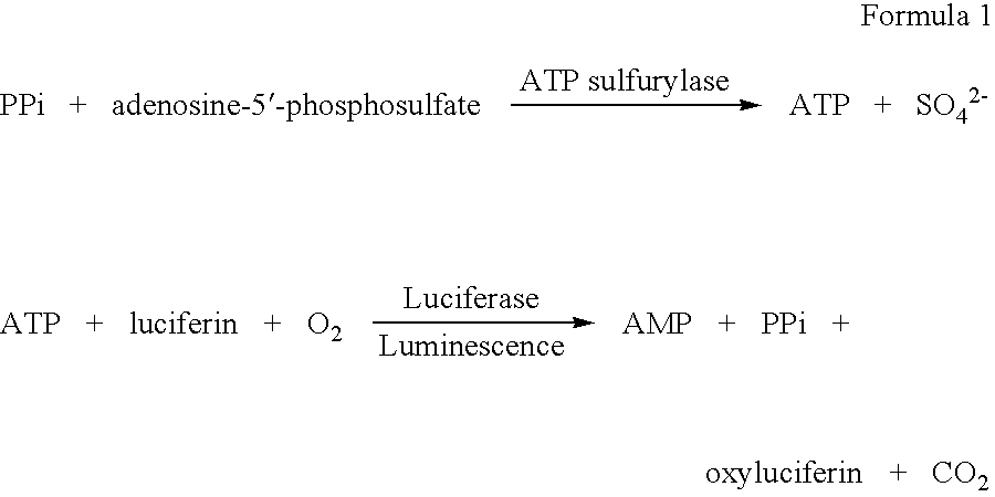 Method for detecting bacteria of the genus mycobacterium (acid-fast bacteria) and kit for the same