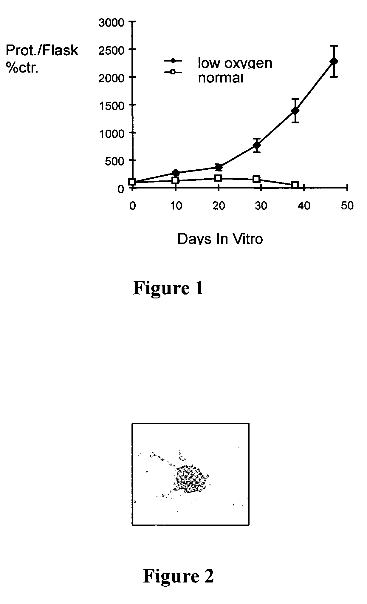 Method for generating an expandable tissue culture from progenitor cells and tissue so generated
