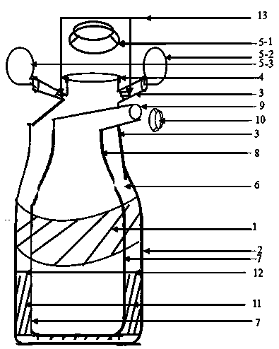 Portable rapidly-heating device and application thereof