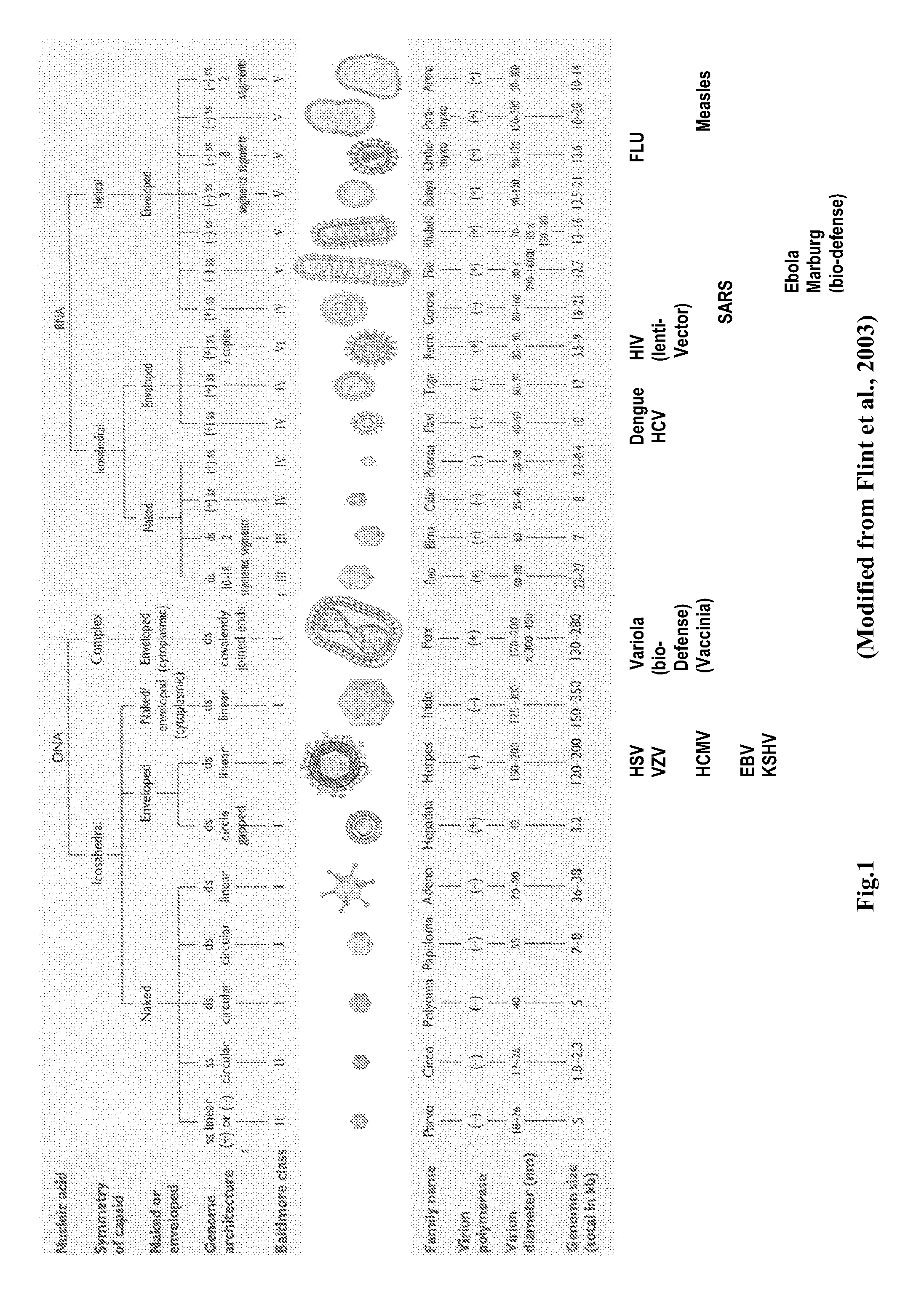 Antiviral Compounds and Uses Thereof