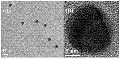 Preparation of glassy carbon electrode modified by gold nanoparticles wrapped with ionic liquid and detection on cholesterol by glassy carbon electrode