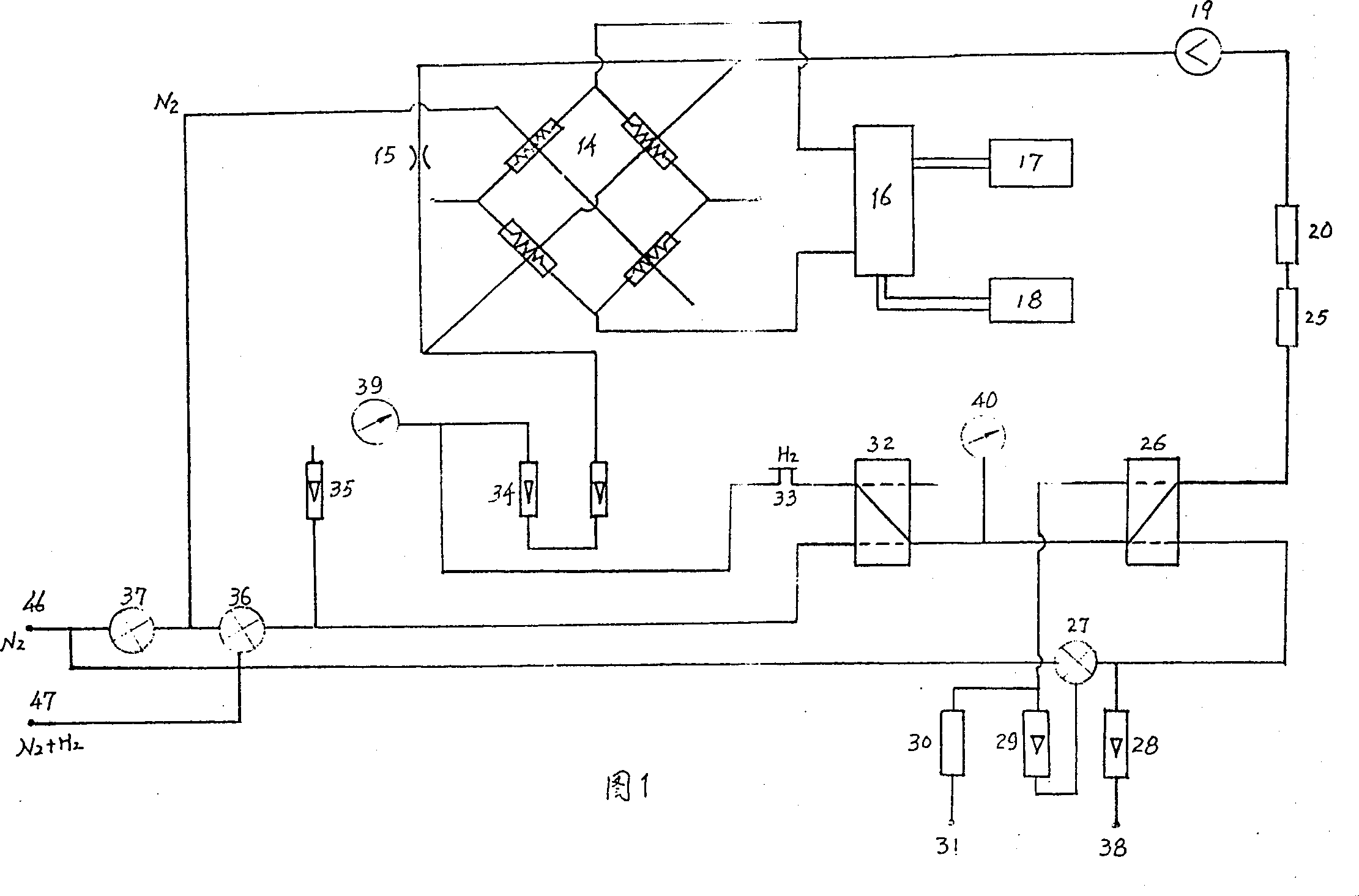 Instrument and method for testing hydorgen contained in molten steel