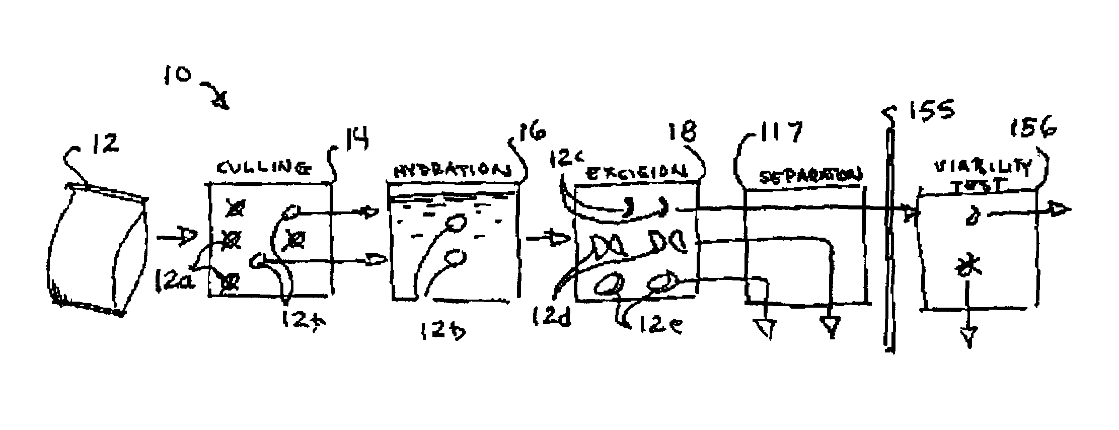 Method and apparatus for preparation of genetically transformable plant tissue