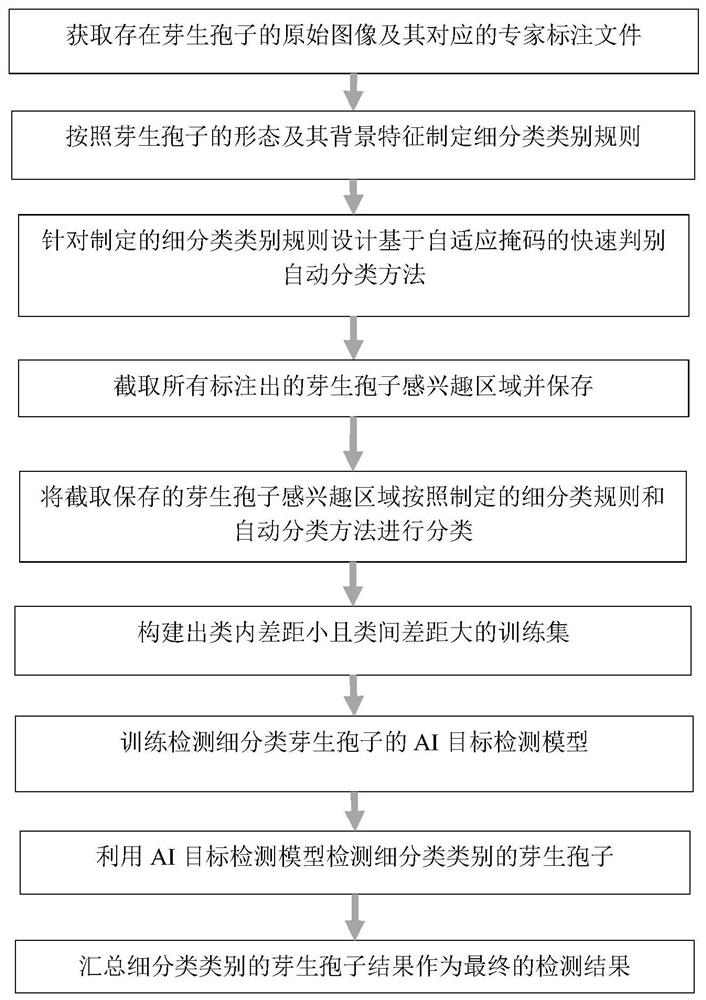 Detection and identification method for automatically refining and labeling categories of spores