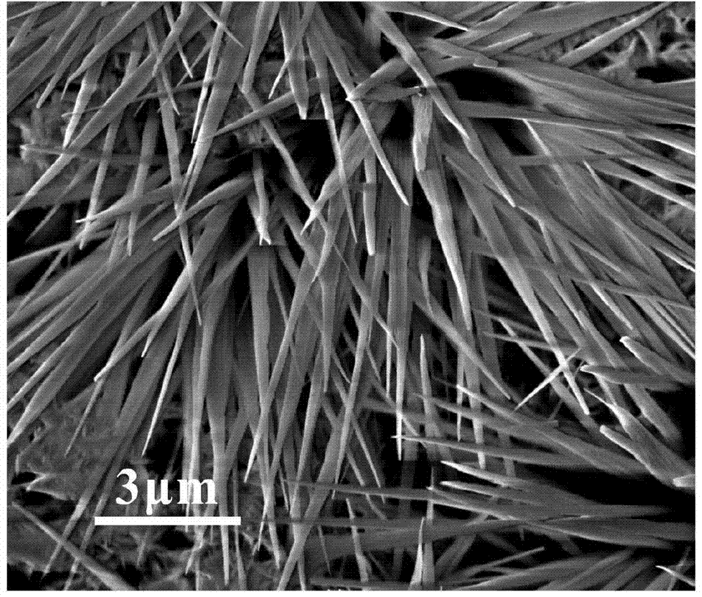 Synthesis method of barium titanate nano-needles