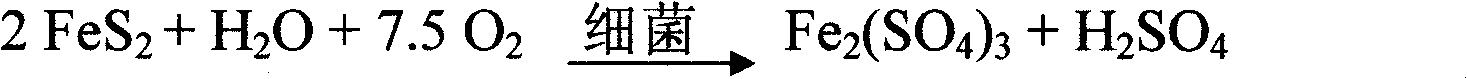 Golden shifting process of biological oxidation-torrefaction-cyanidation