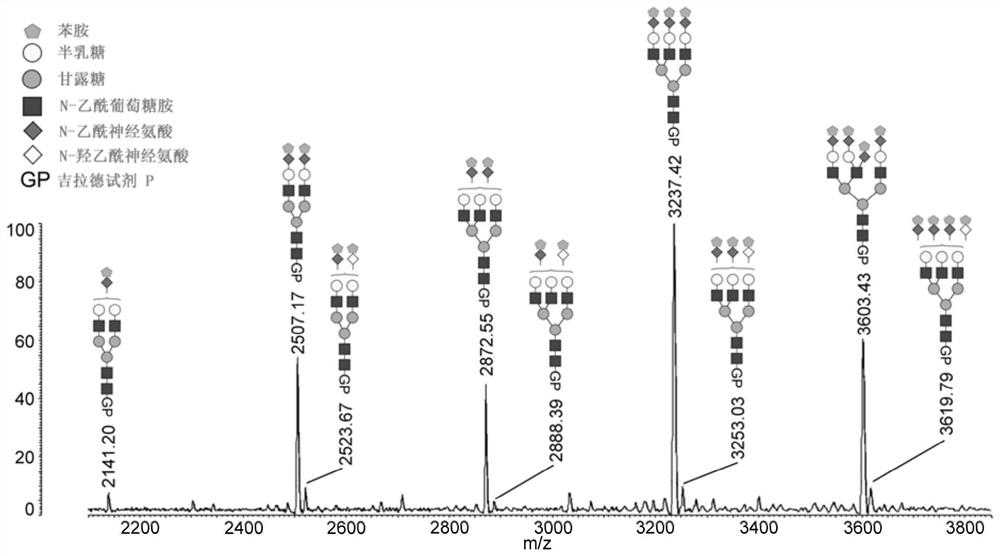 High-resolution sequential separation and accurate quantitative analysis of sialylated sugar chain isomers