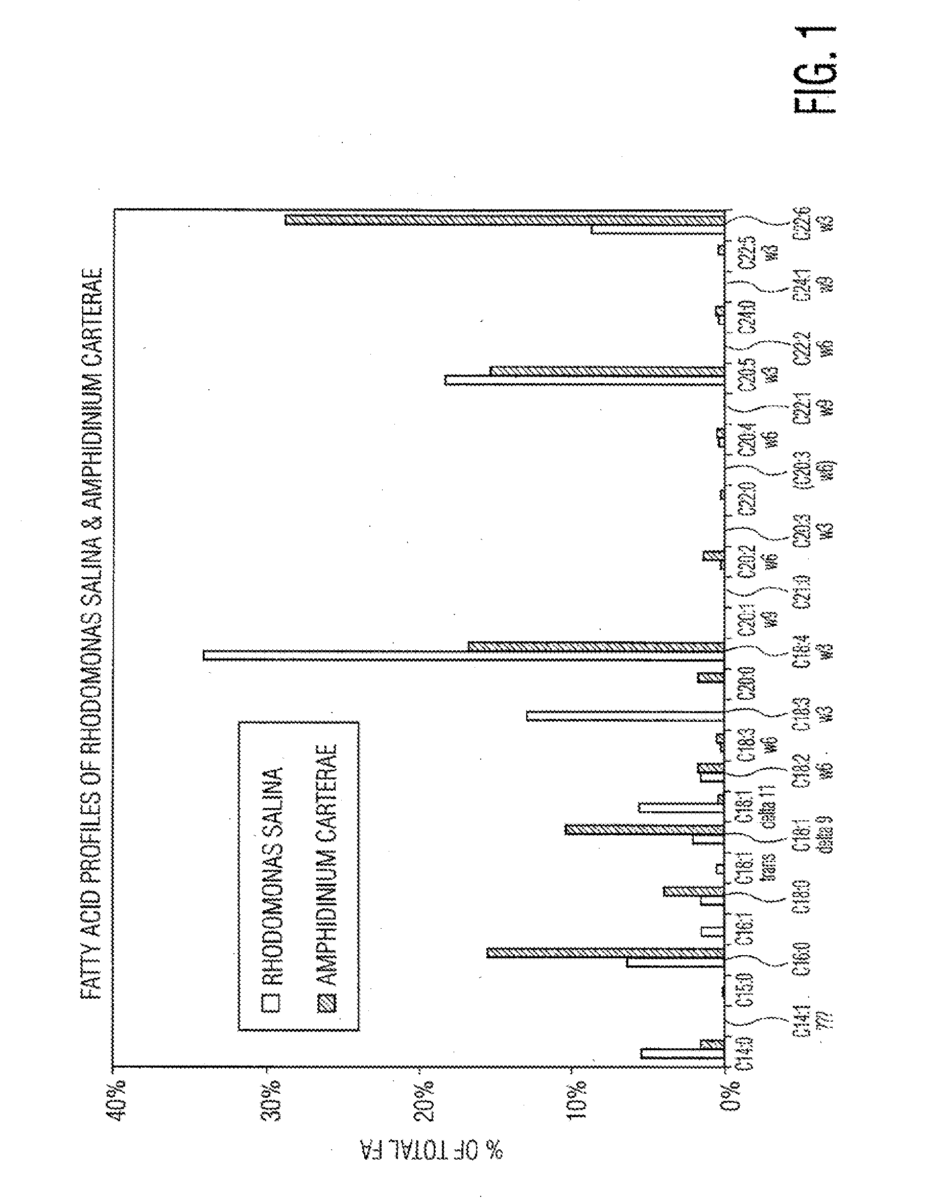 Compositions, methods, and kits for polyunsaturated fatty acids from microalgae