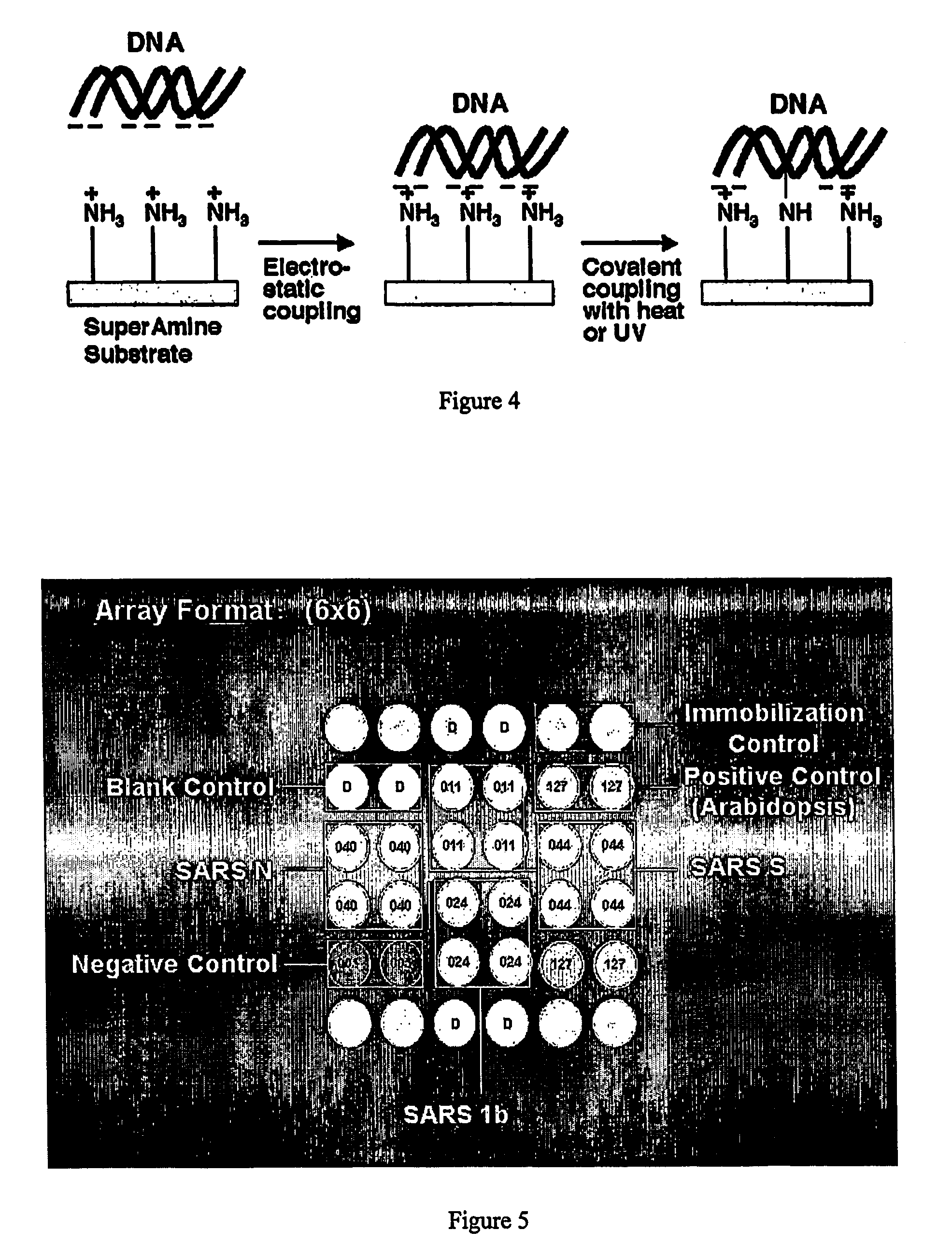 Methods and compositions for detecting sars virus and other infectious agents