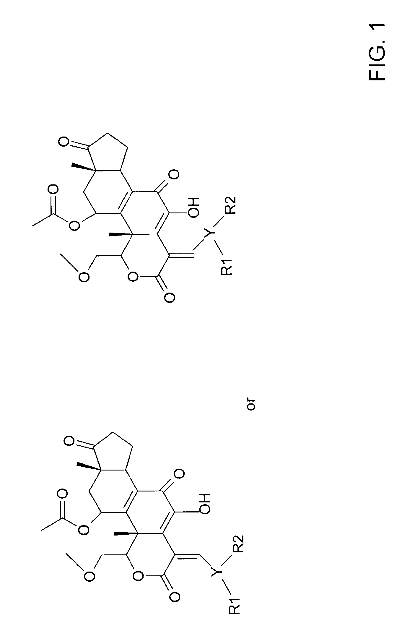 Wortmannin analogs and methods of using same