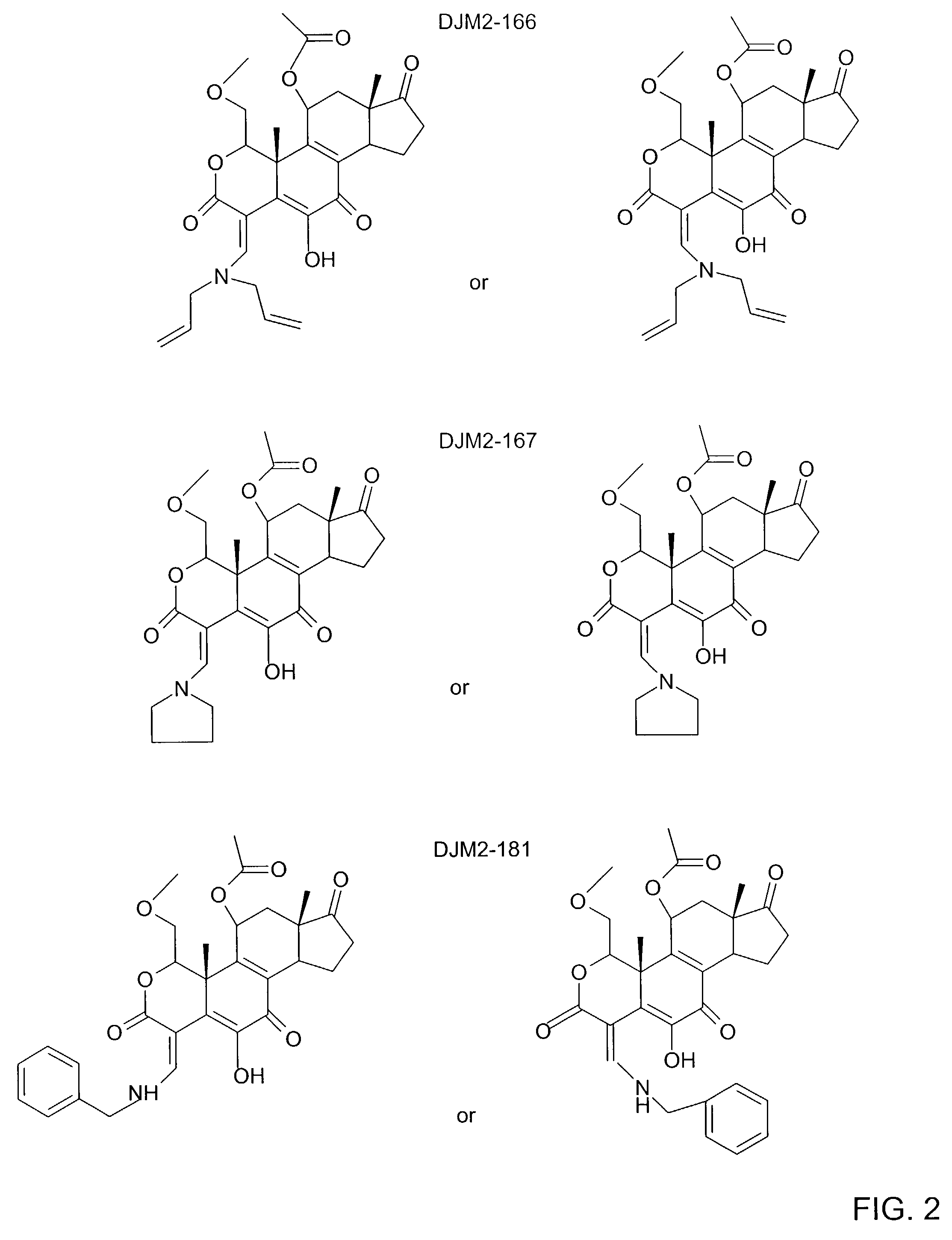 Wortmannin analogs and methods of using same