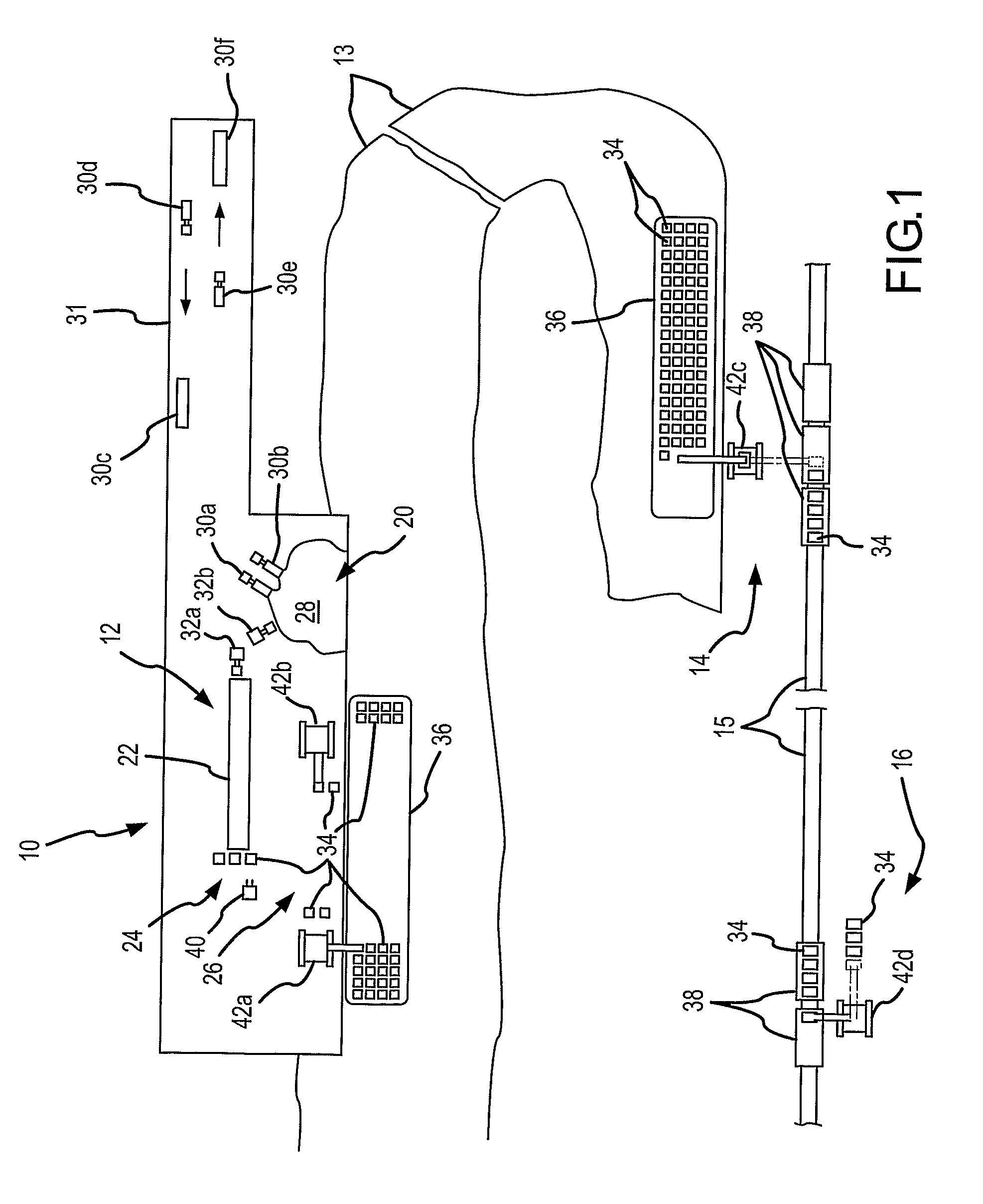 Systems and methods of processing and transporting waste