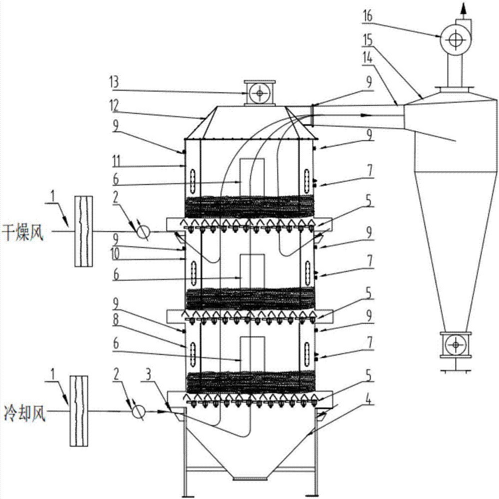 Drying and cooling system for production of cured powdery feed