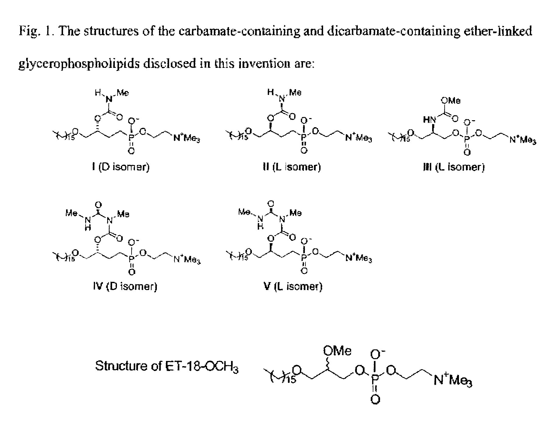 Synthesis of glycerolipid carbamates and dicarbamates and their use as an antitumor compounds