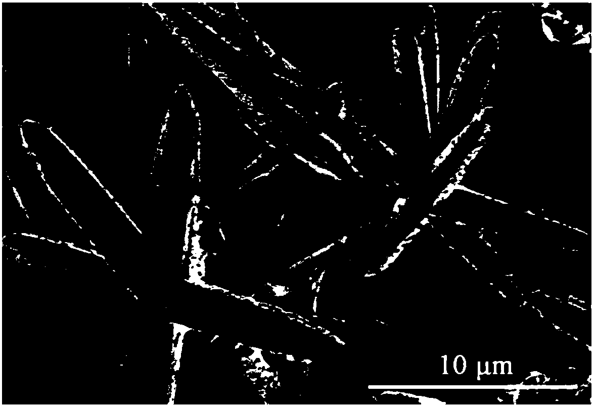 Preparation method of calcium carbonate whisker with continuously controllable morphology