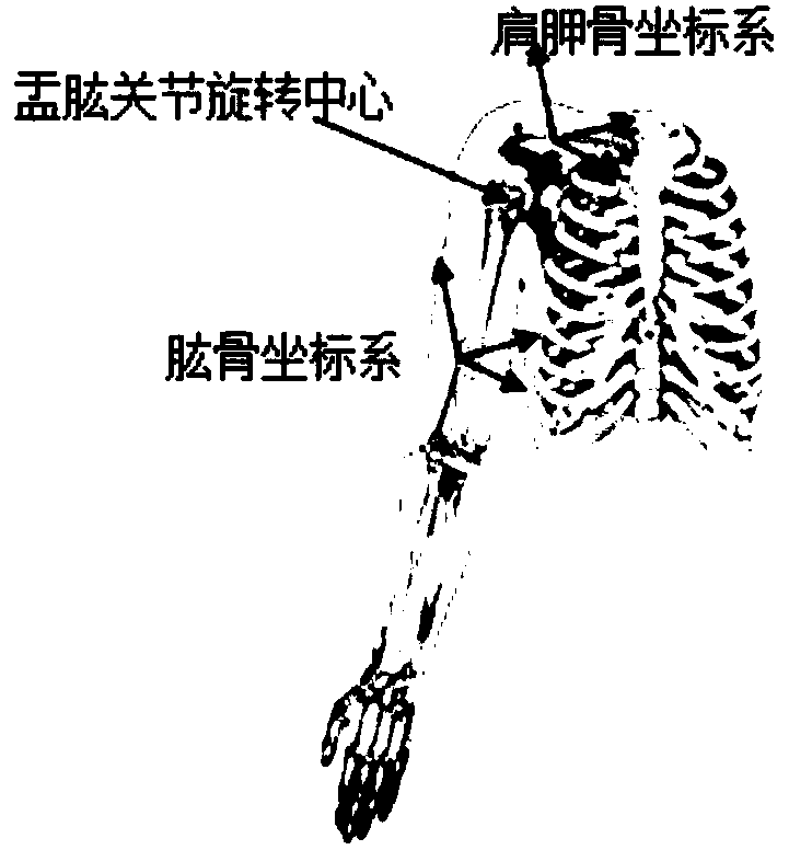 Measuring method of coupling relation of human body upper limb shoulder glenohumeral joint rotation center and upper arm lifting angle