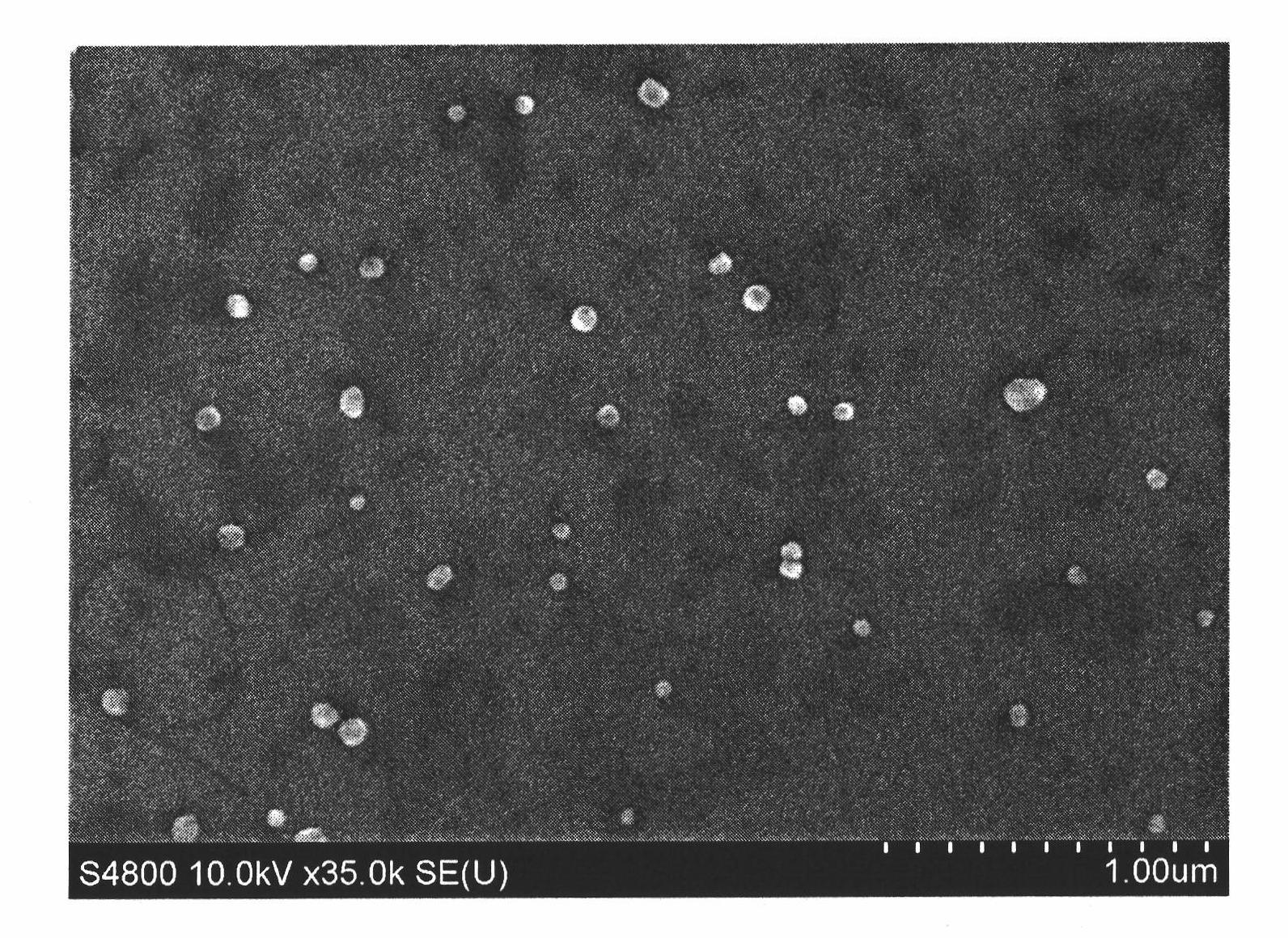 Nanoparticle preparation method and nanoparticles prepared by method thereof