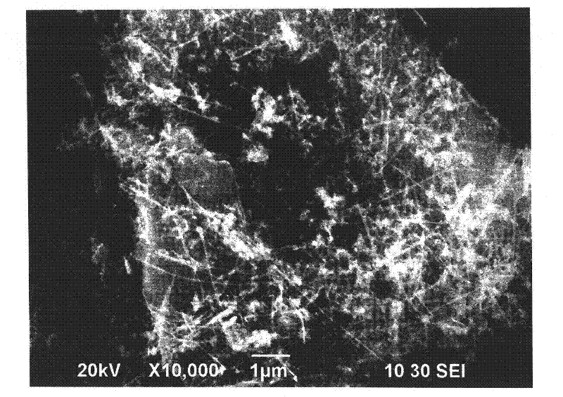 Lithium ion battery and negative electrode active material thereof