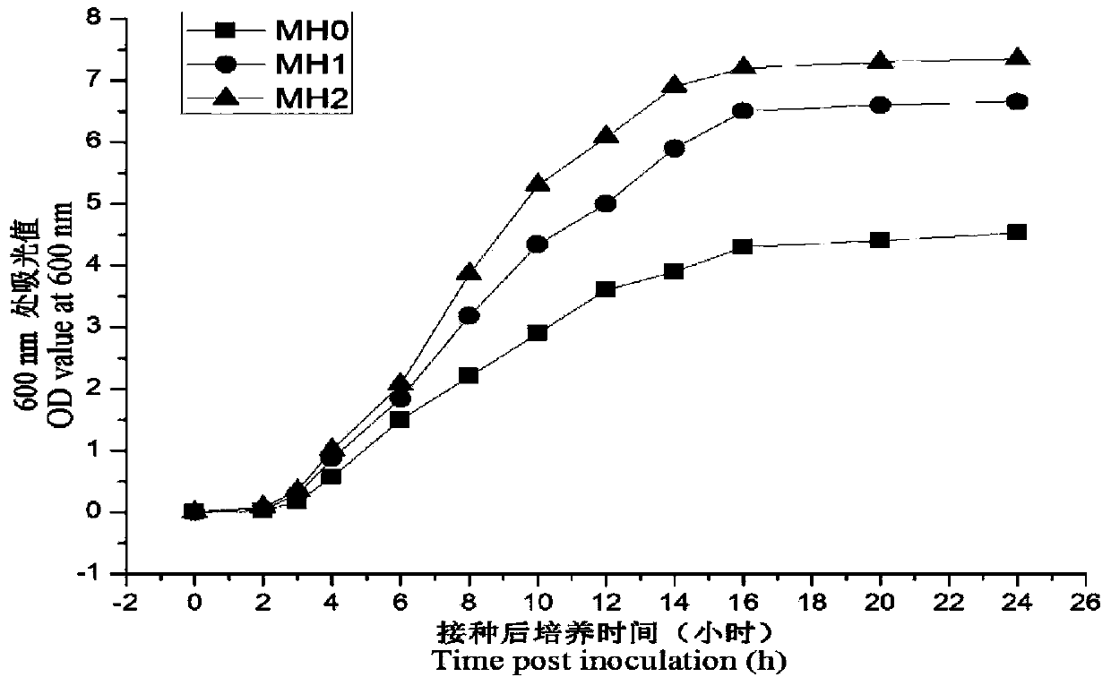 Fast drug sensitivity detection kit for aquatic product vibrio