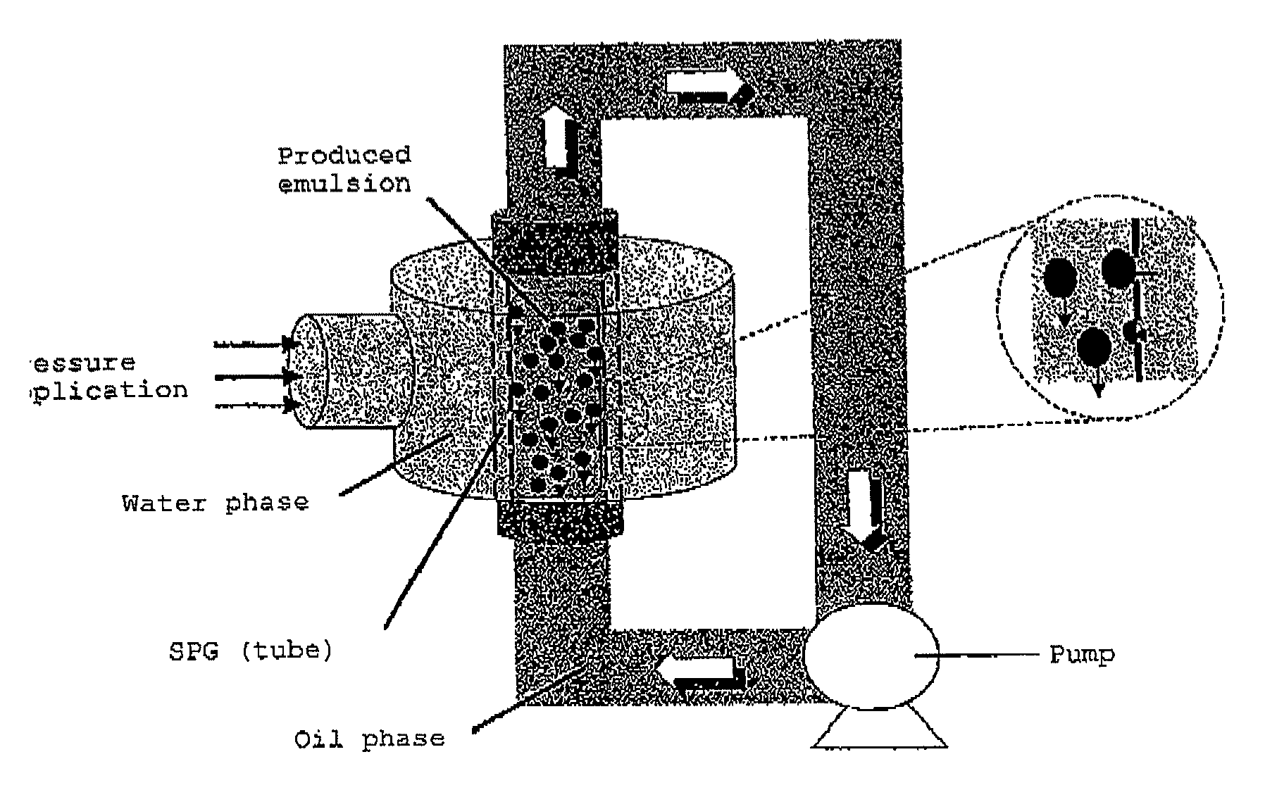 Positive electrode active material powder and positive electrode active material