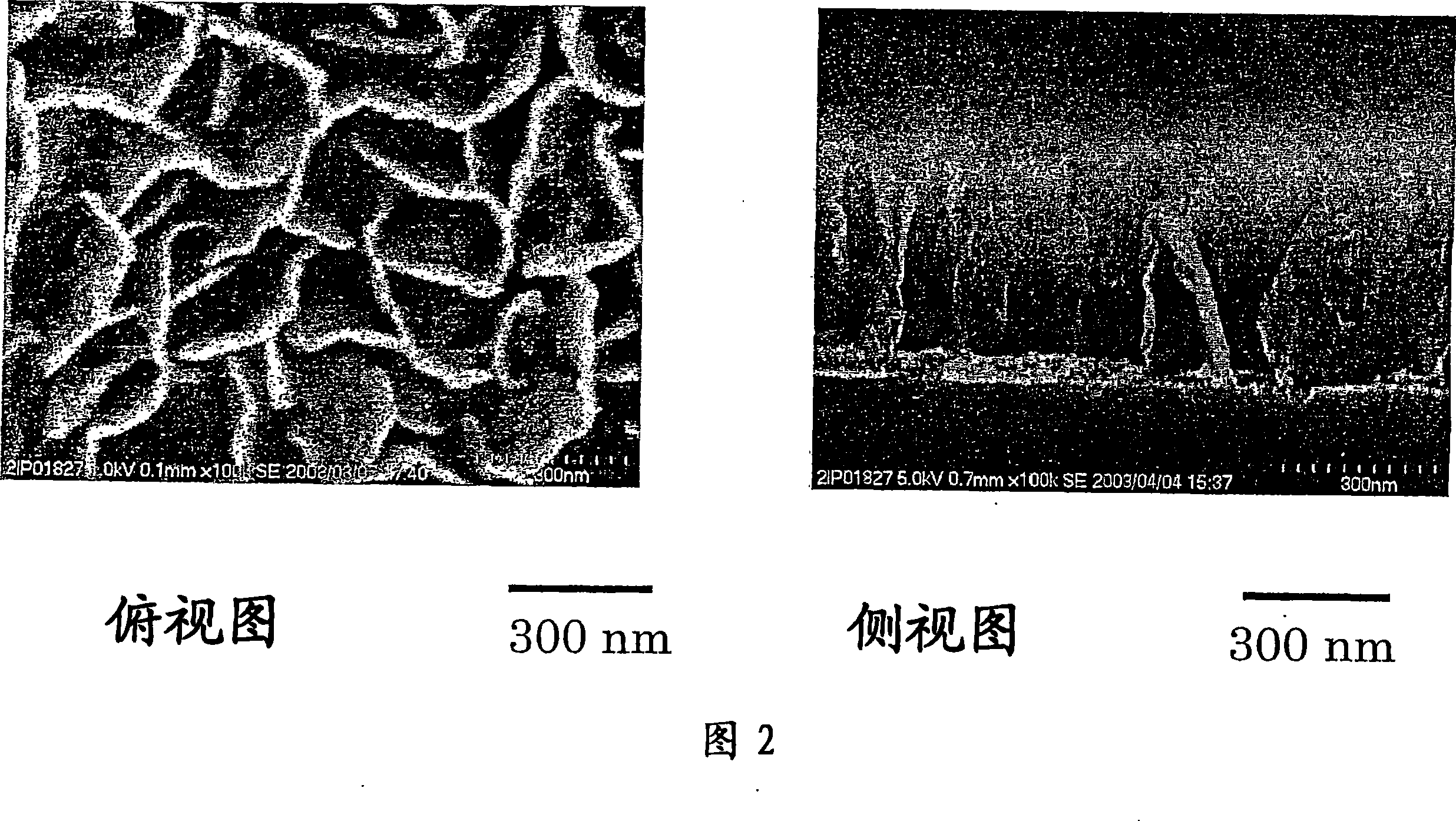 Fuel cell structure and method for manufacturing same